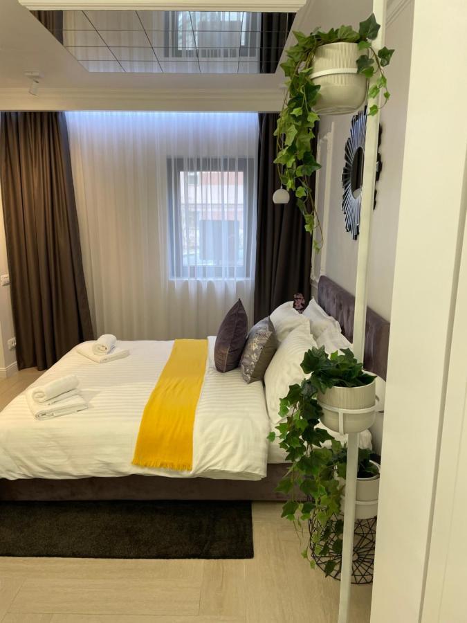 Luxury City Studios Curtea de Argeş Buitenkant foto